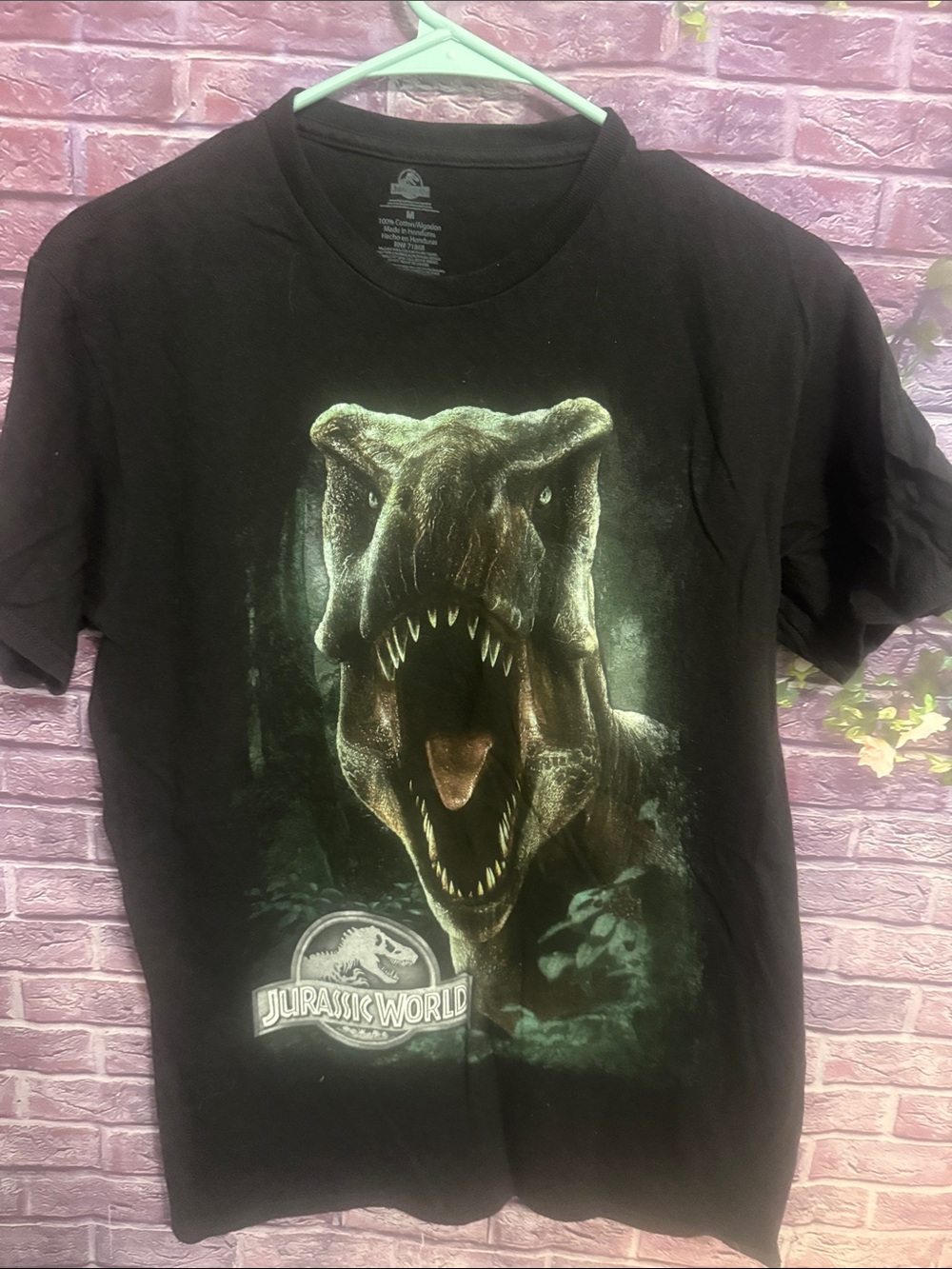 Jurassic World Men’s women’s unisex Black Short Sleeve Graphic Tee T Rex medium